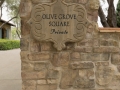 JoeNguyenImages_WB_005OliveGroveSquare-1