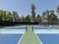 JoeNguyenImages_WB_001PickleballTennisBasketball-2