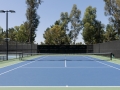 JoeNguyenImages_WB_001PickleballTennisBasketball-3